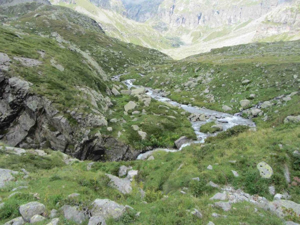 Bilocale a due passi dal Gran Paradiso Locana Bagian luar foto