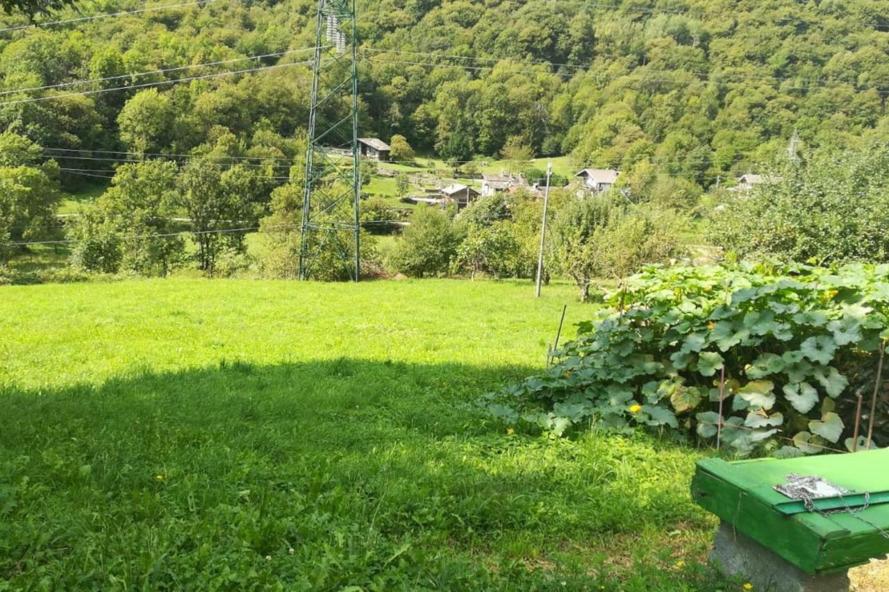 Bilocale a due passi dal Gran Paradiso Locana Bagian luar foto